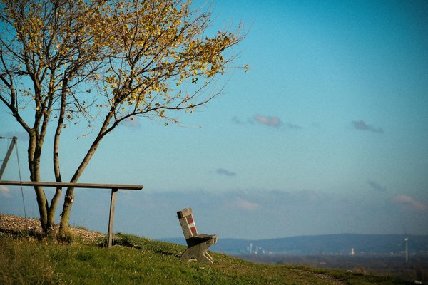 Essential Guidelines for Prenatal Vitamin Administration in UK Clinics: Everything You Need to Know